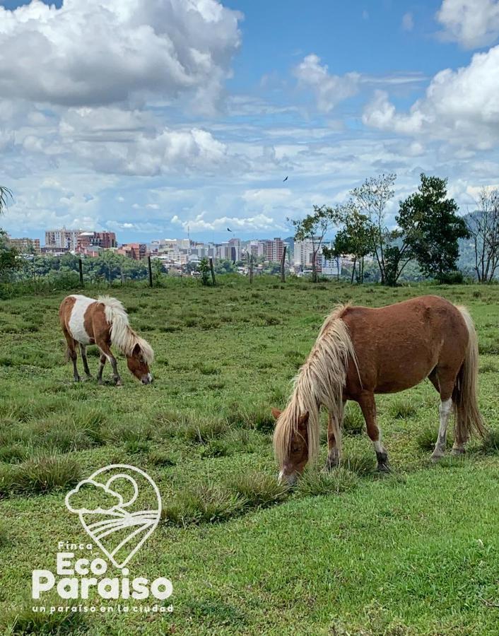 Finca Ecoparaiso Ibagué Exteriör bild
