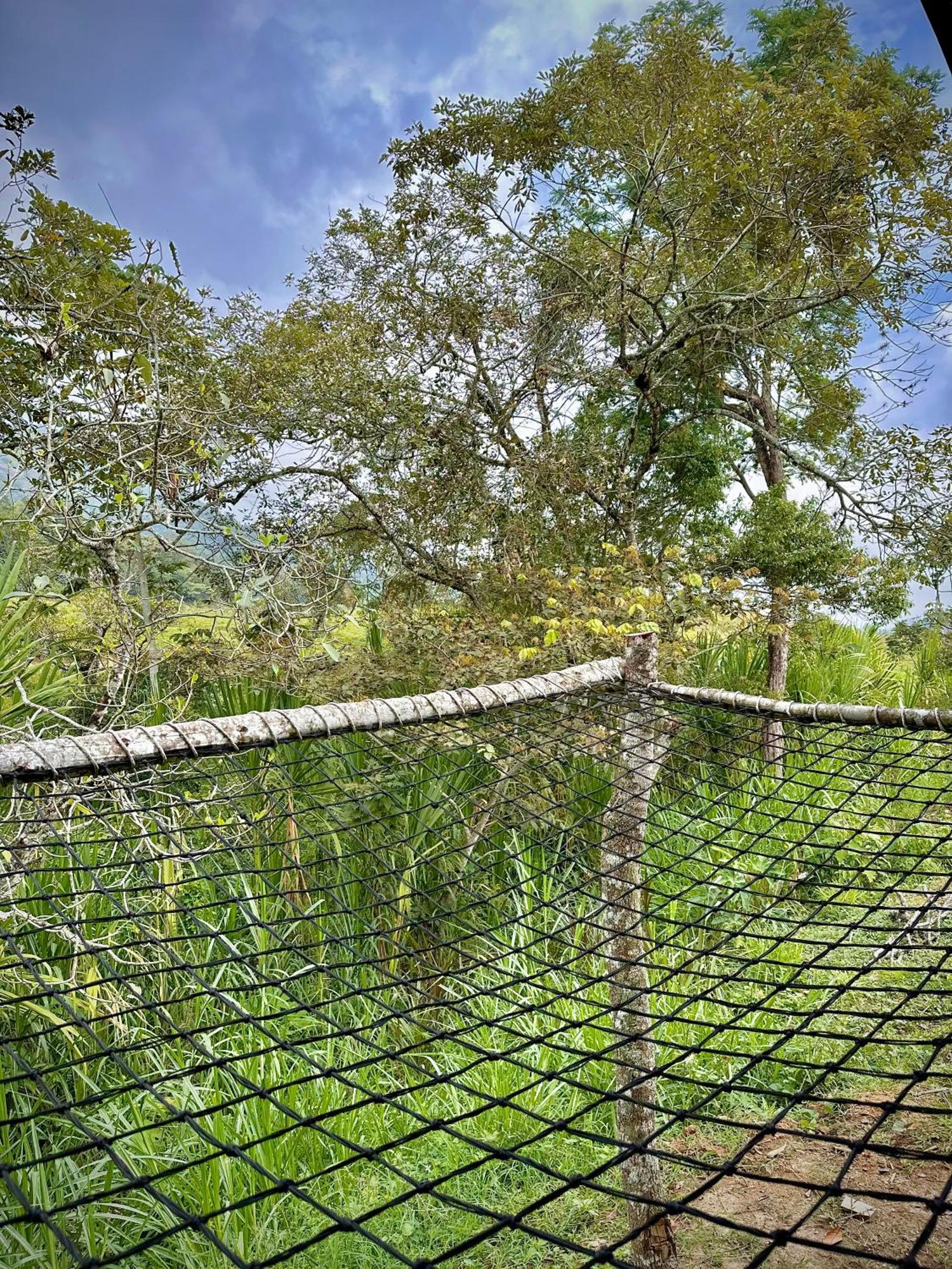 Finca Ecoparaiso Ibagué Exteriör bild